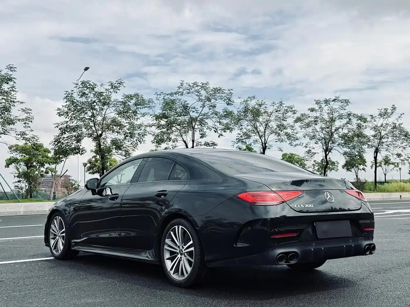 Mercedes-Benz CLS 2018 CLS 300 Luxury — миниатюра 4