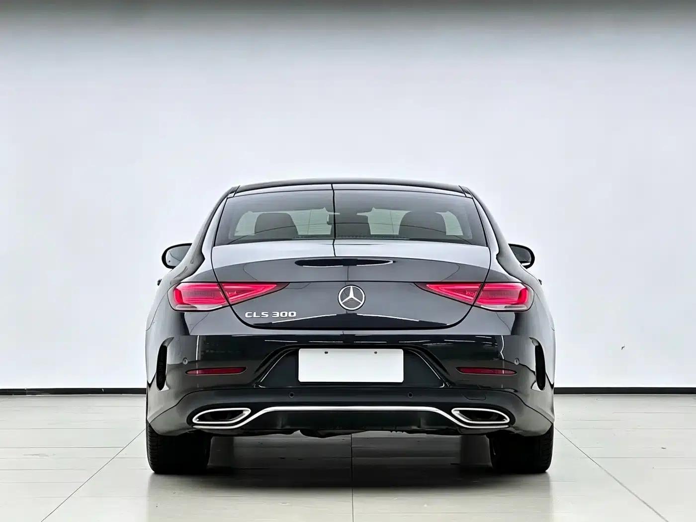 Mercedes-Benz CLS 2021 CLS 300 Dynamic — миниатюра 15