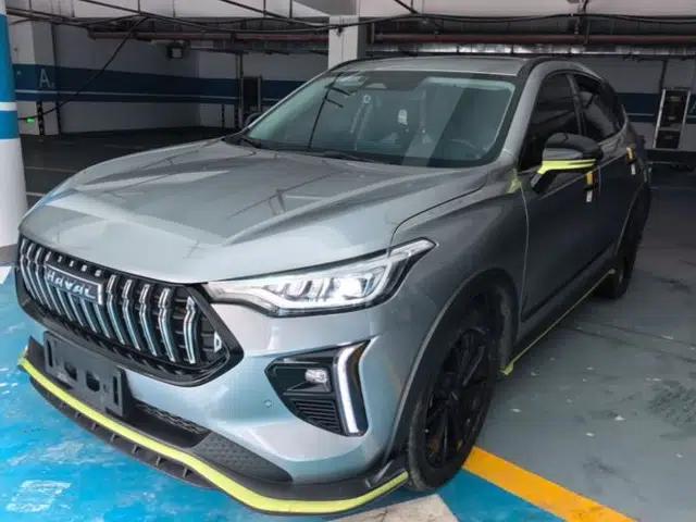 Haval LHERY 2021 High-Performance Version 1.5T Golden Rabbit