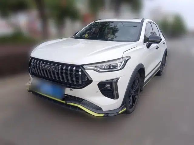 Haval LHERY 2021 High-Performance Version 1.5T Golden Rabbit