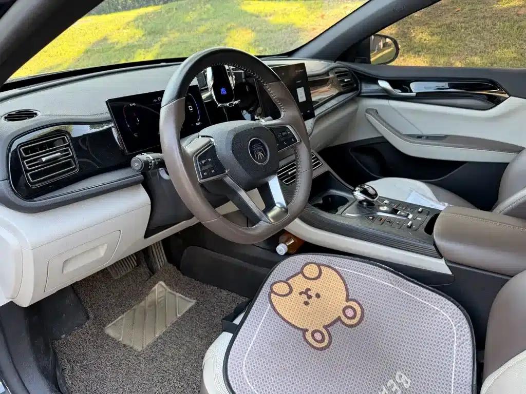 Qin PLUS 2024 Glory Edition DM-i 55KM Leading Model — миниатюра 7