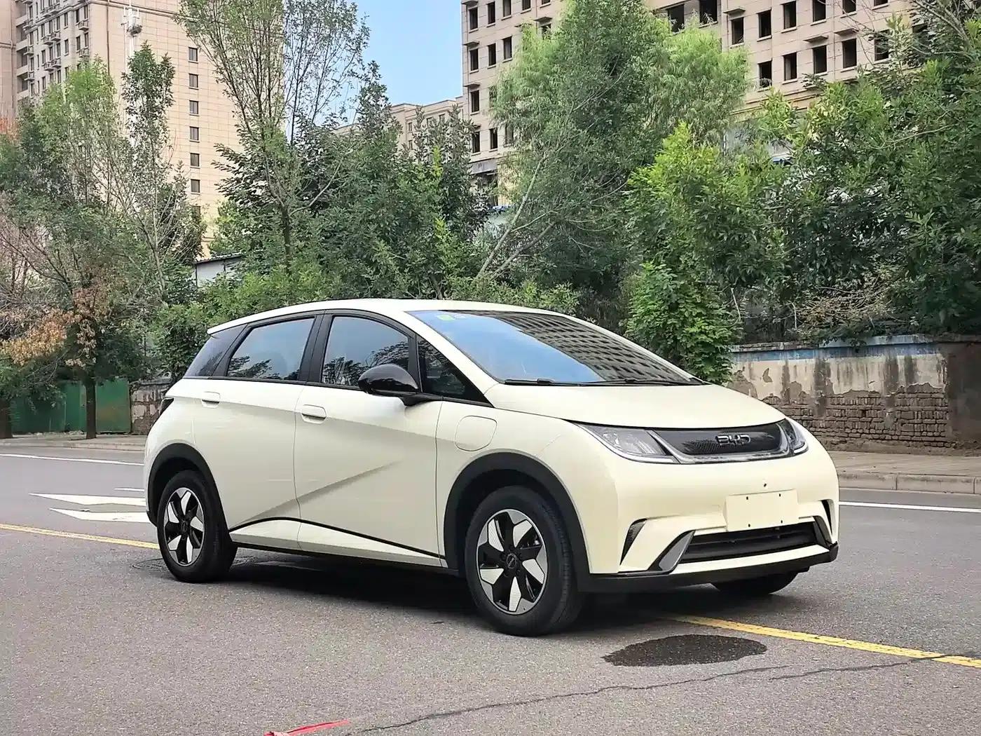 Dolphin 2025 420km Freedom Edition — миниатюра 3