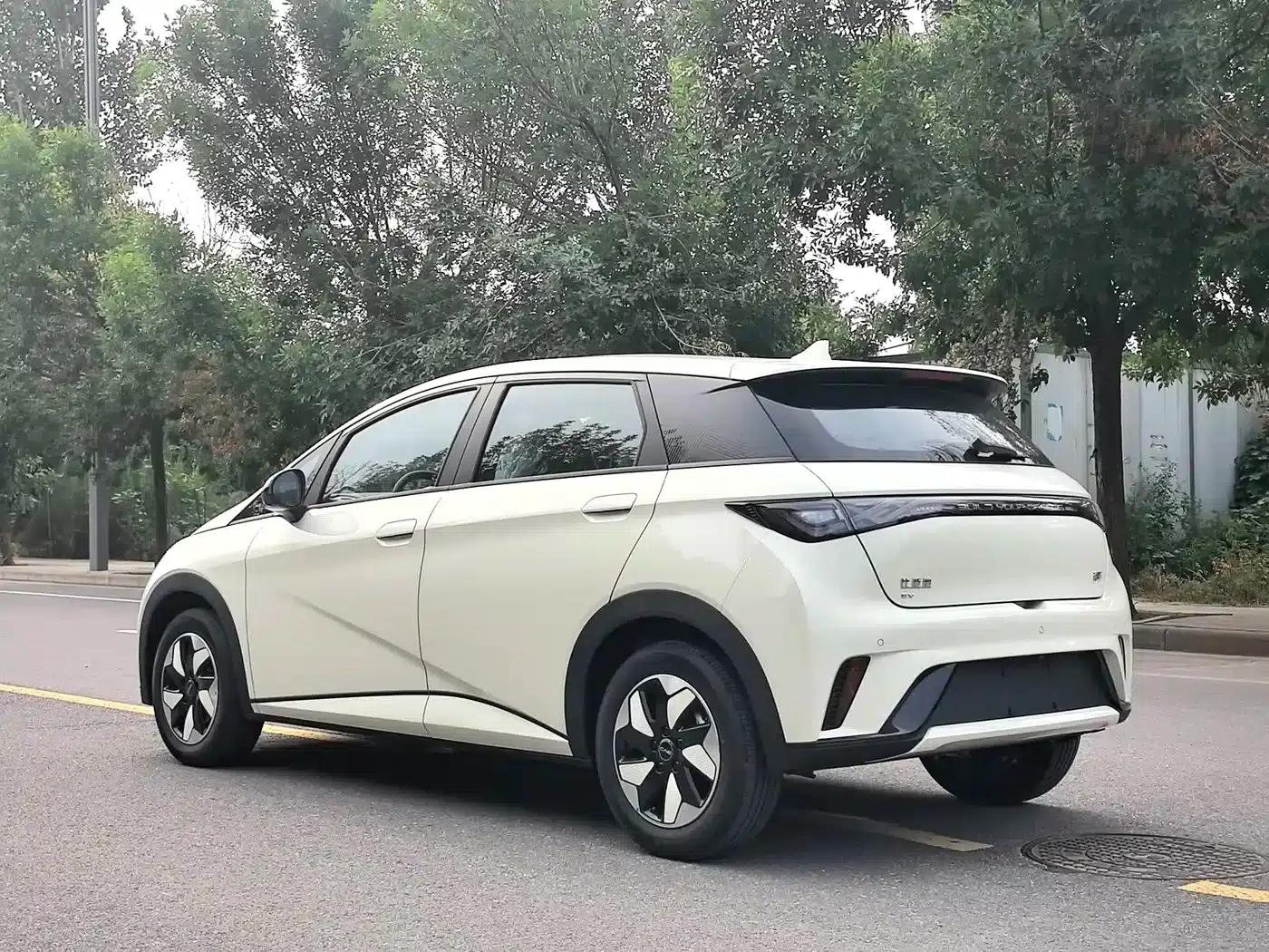 Dolphin 2025 420km Freedom Edition — миниатюра 4