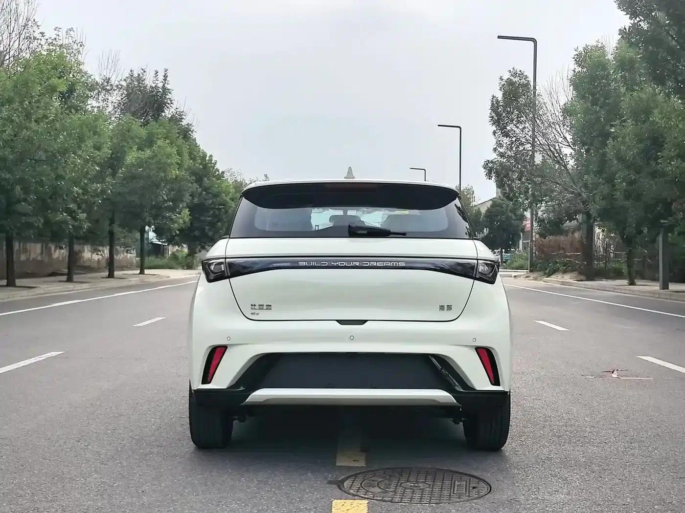 Dolphin 2025 420km Freedom Edition — миниатюра 5