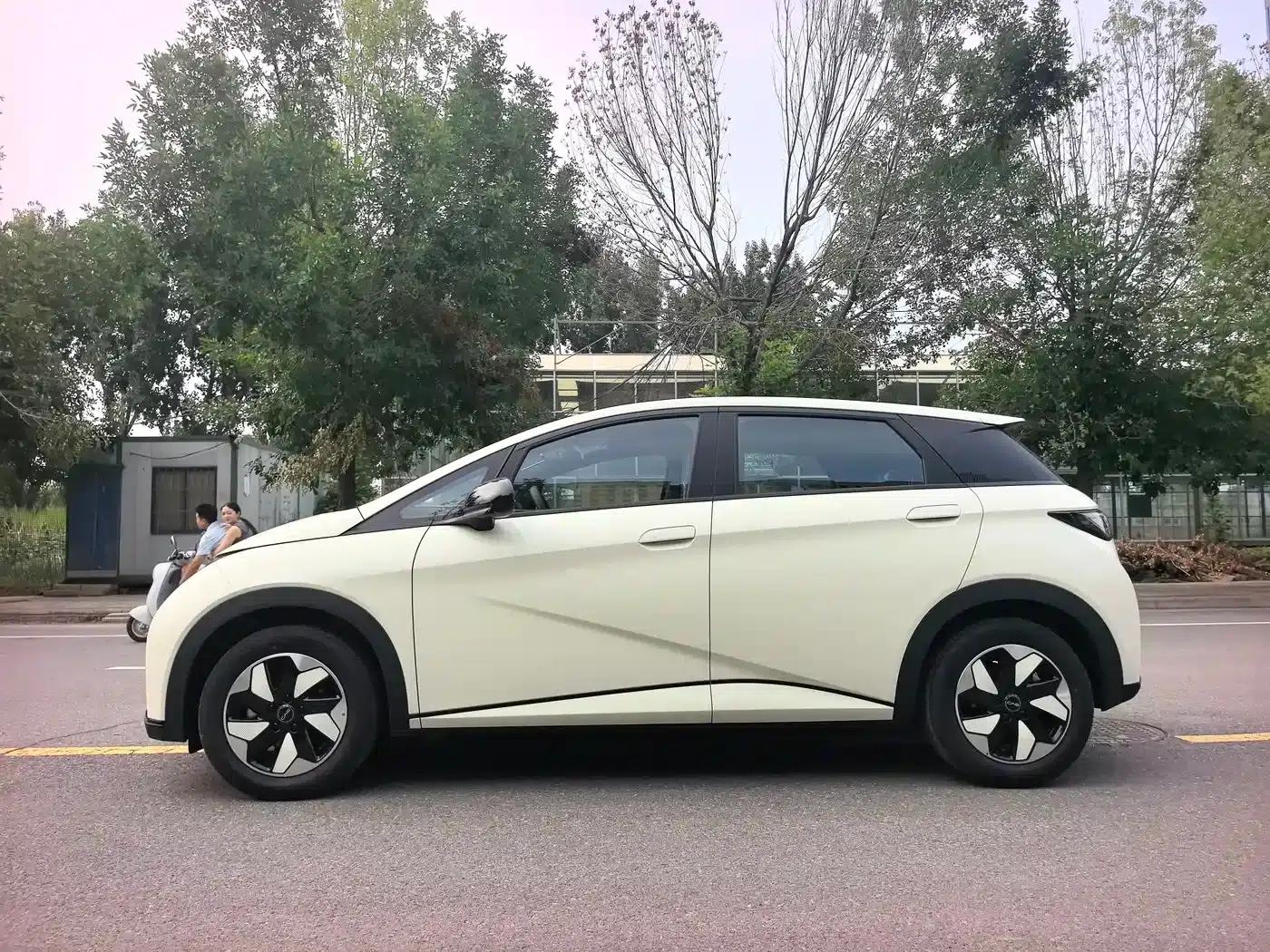 Dolphin 2025 420km Freedom Edition — миниатюра 7