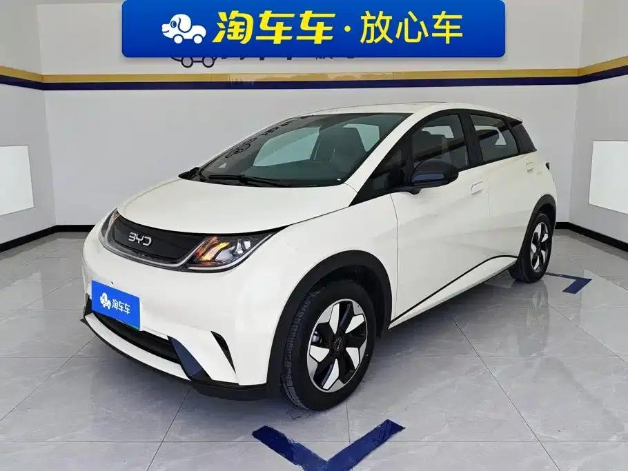Dolphin 2025 420km Freedom Edition — миниатюра 1