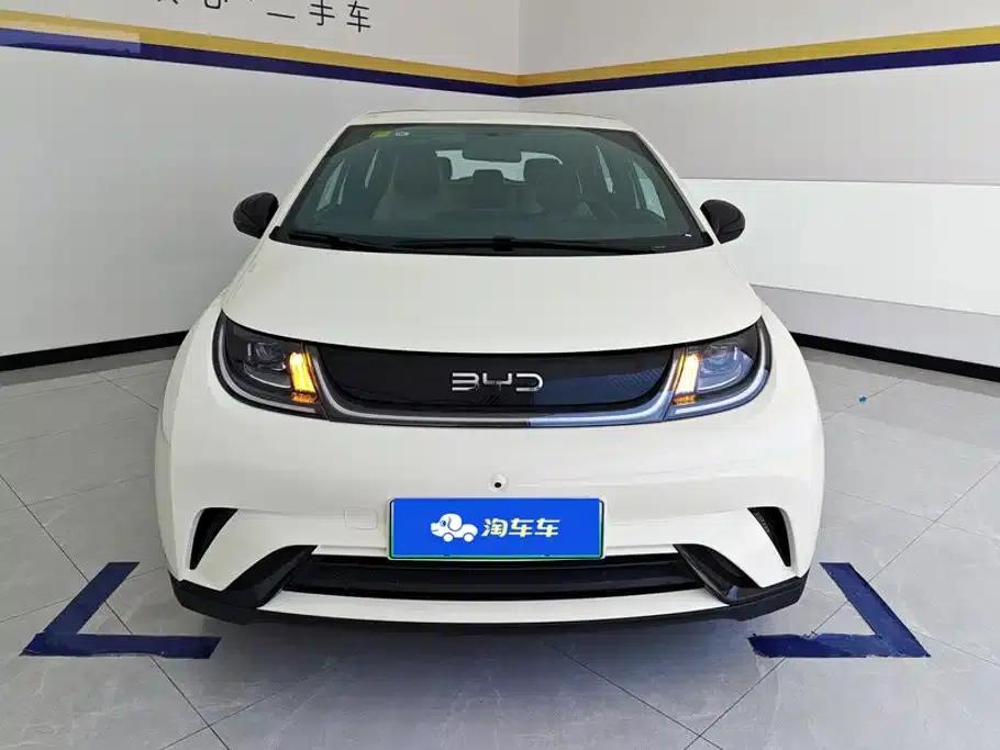 Dolphin 2025 420km Freedom Edition — миниатюра 2