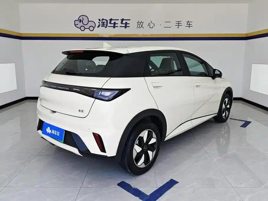 Dolphin 2025 420km Freedom Edition — миниатюра 3