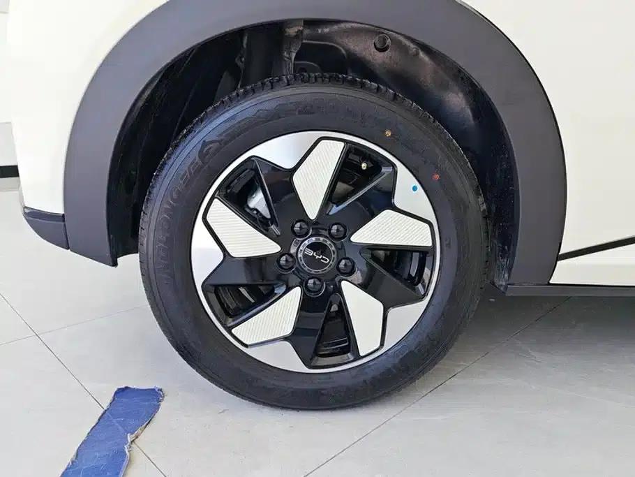 Dolphin 2025 420km Freedom Edition — миниатюра 6