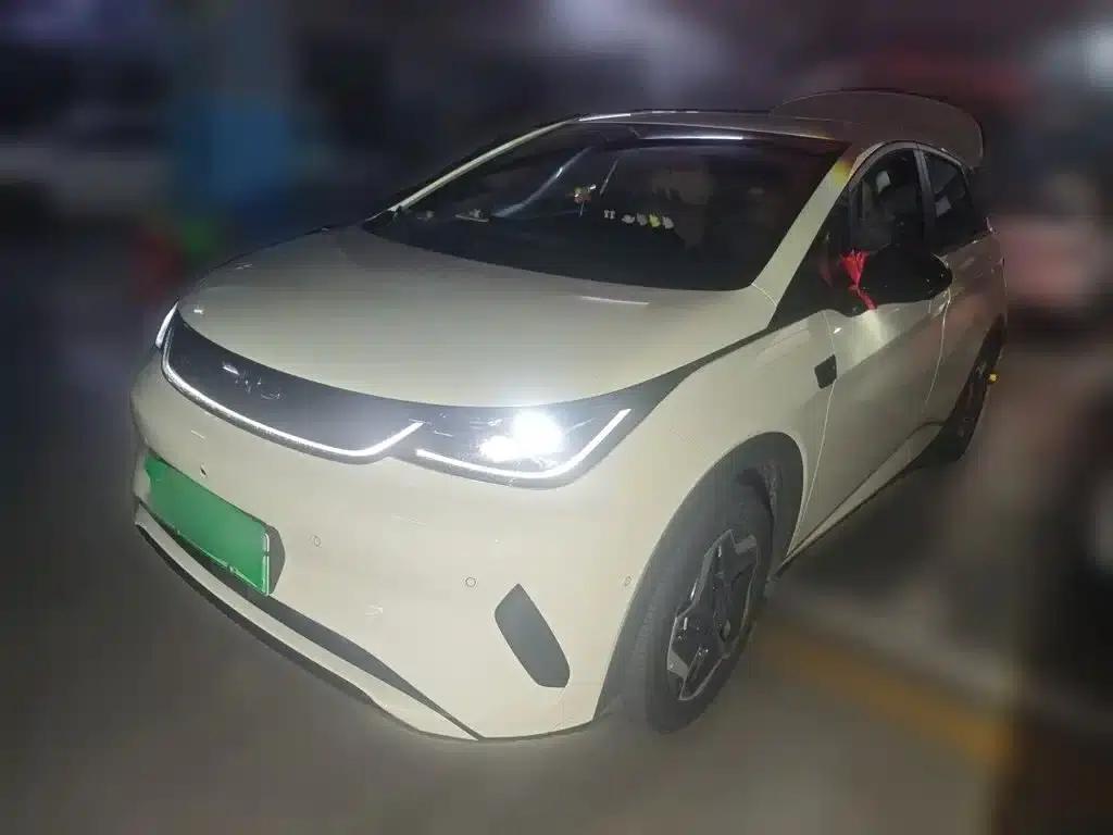 Dolphin 2025 Smart Driving Edition 420km Freedom Edition — миниатюра 2