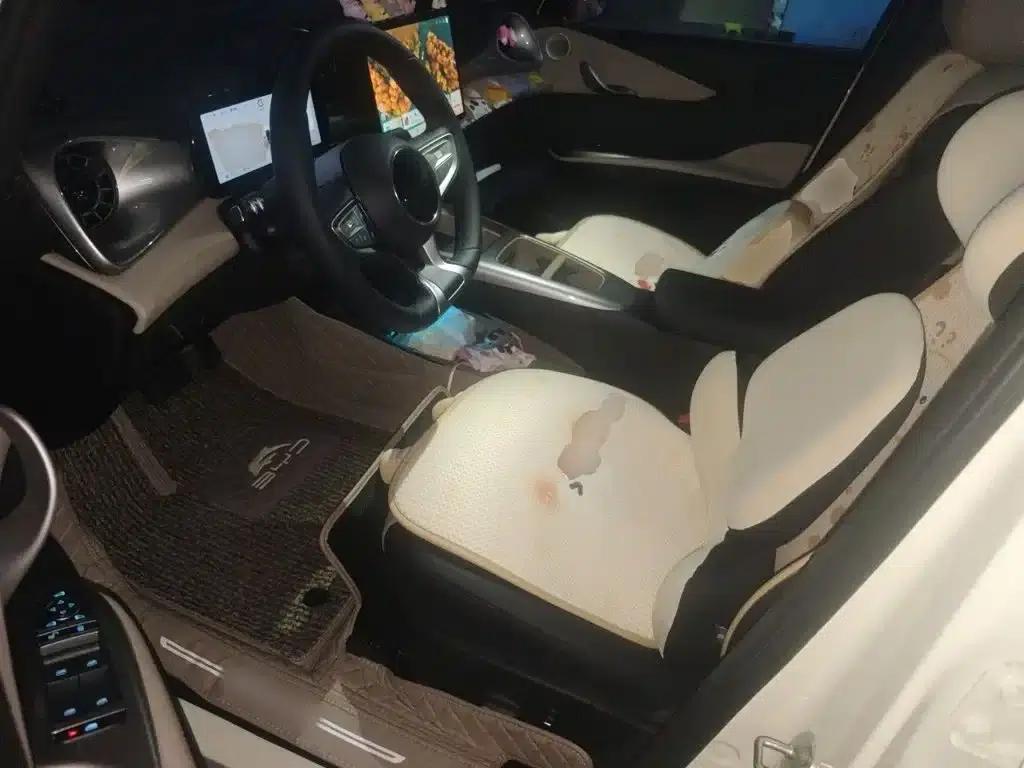 Dolphin 2025 Smart Driving Edition 420km Freedom Edition — миниатюра 13