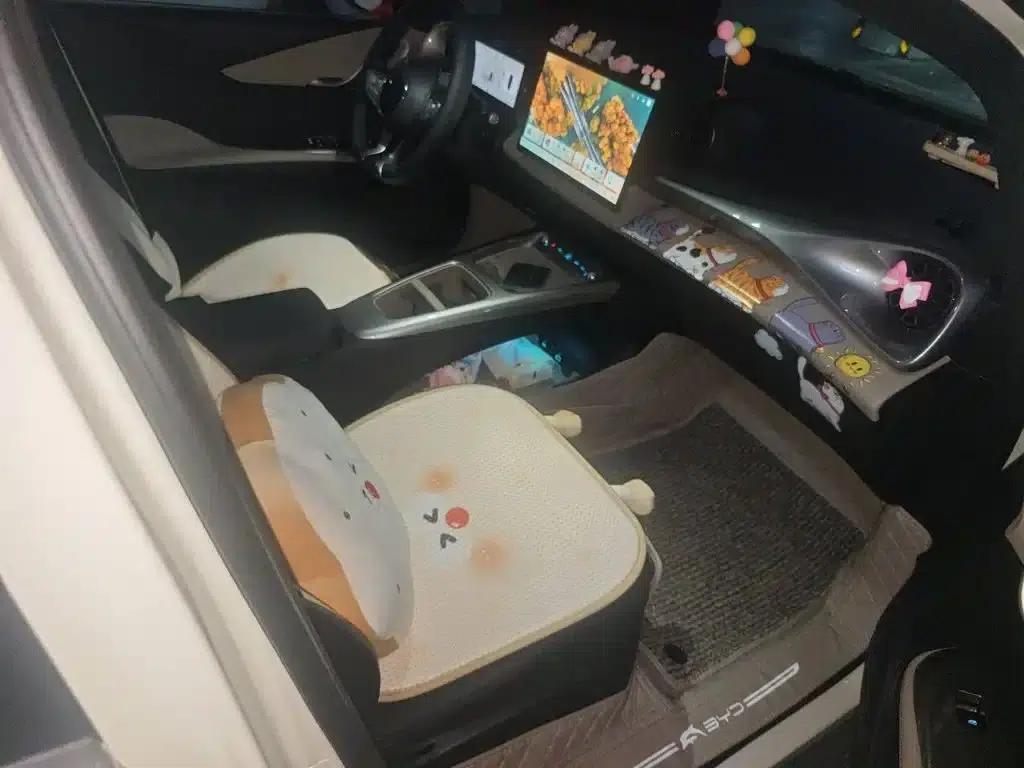 Dolphin 2025 Smart Driving Edition 420km Freedom Edition — миниатюра 22