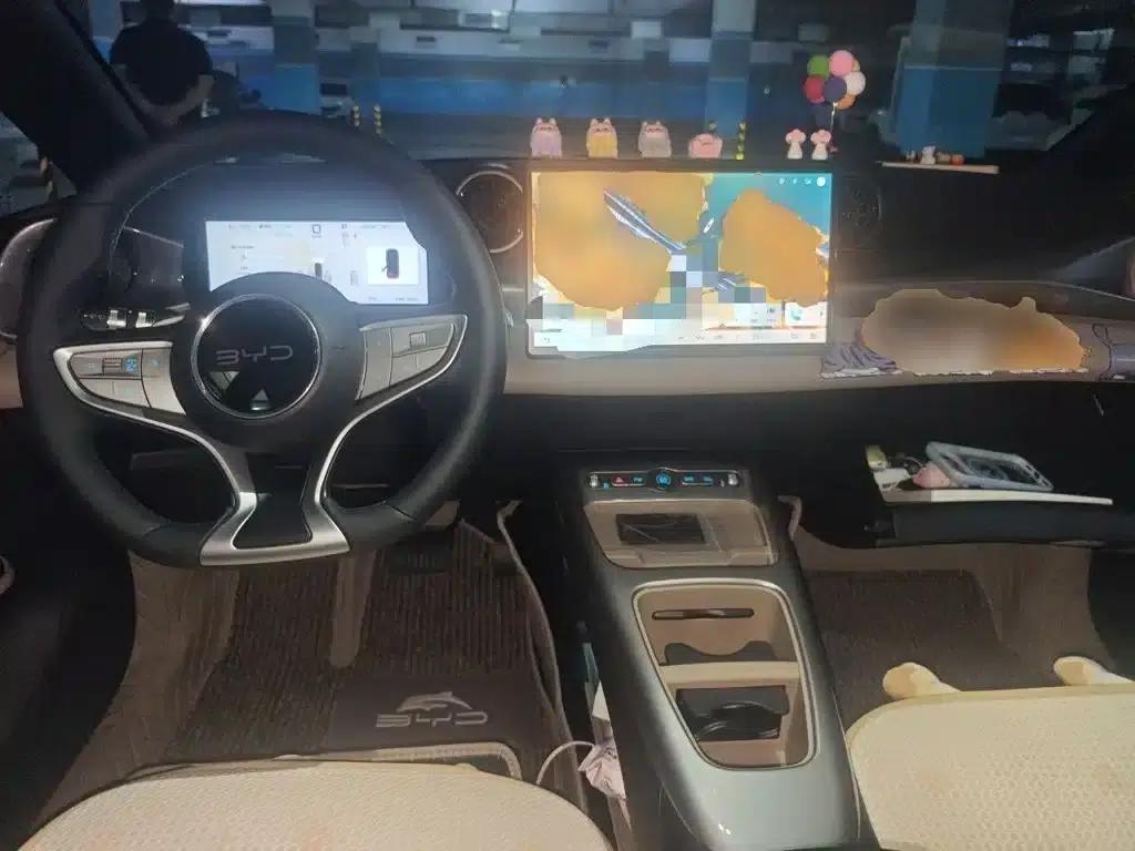 Dolphin 2025 Smart Driving Edition 420km Freedom Edition — миниатюра 6