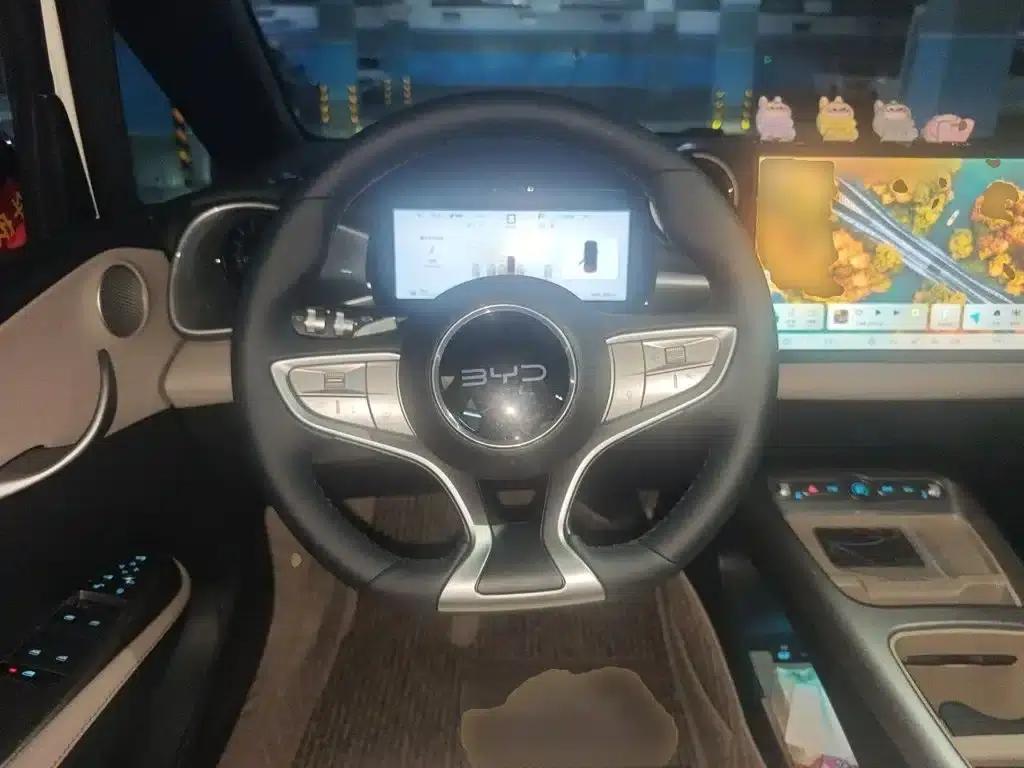 Dolphin 2025 Smart Driving Edition 420km Freedom Edition — миниатюра 7