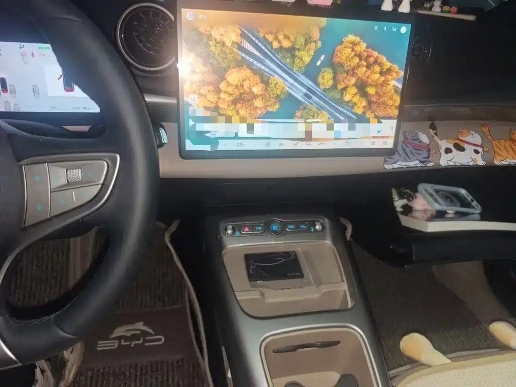 Dolphin 2025 Smart Driving Edition 420km Freedom Edition — миниатюра 10