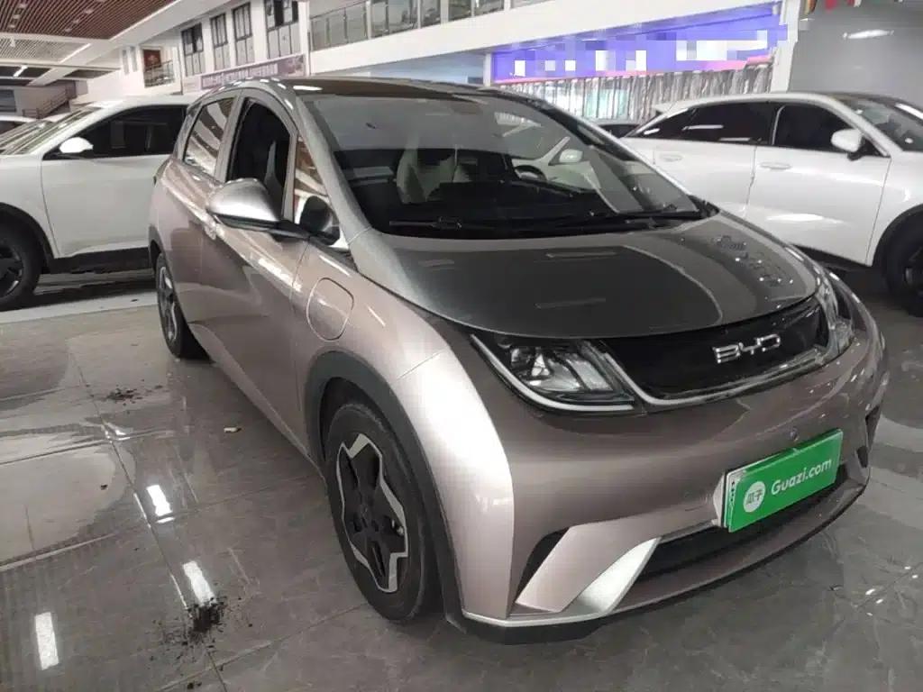 Dolphin 2021 405km Fashion Edition — миниатюра 4