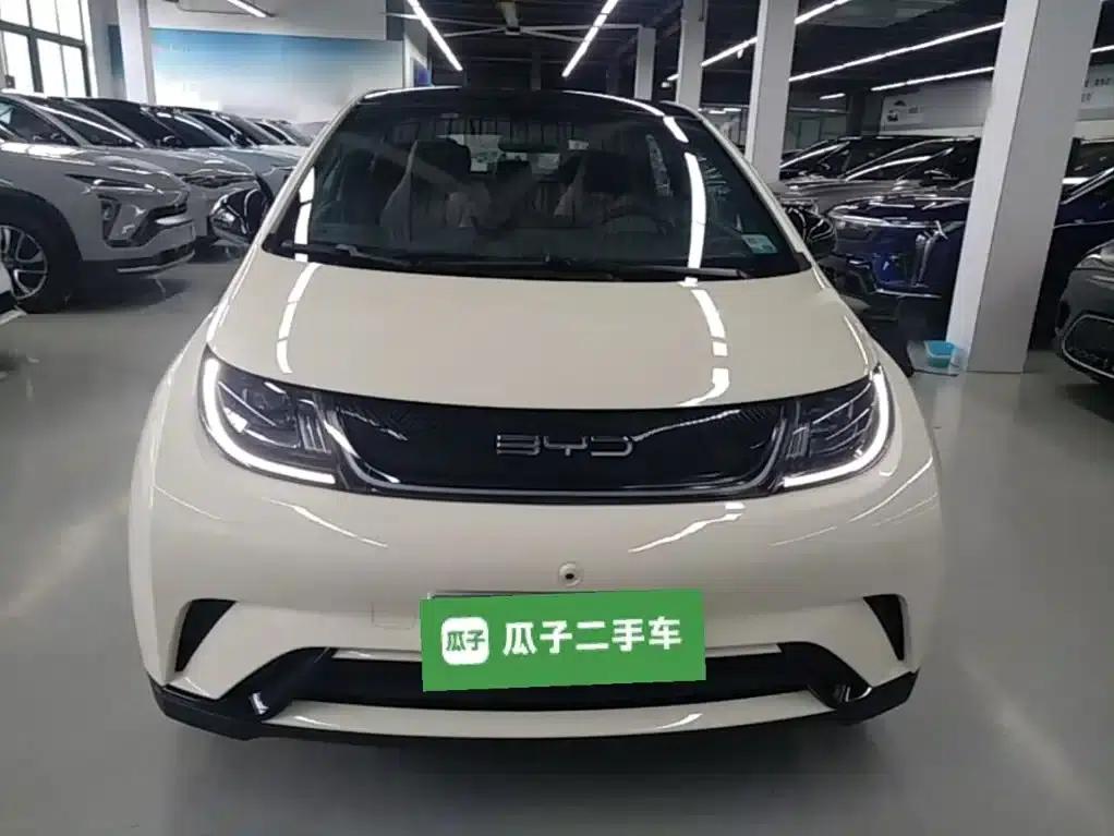 Dolphin 2021 405km Fashion Edition — миниатюра 3