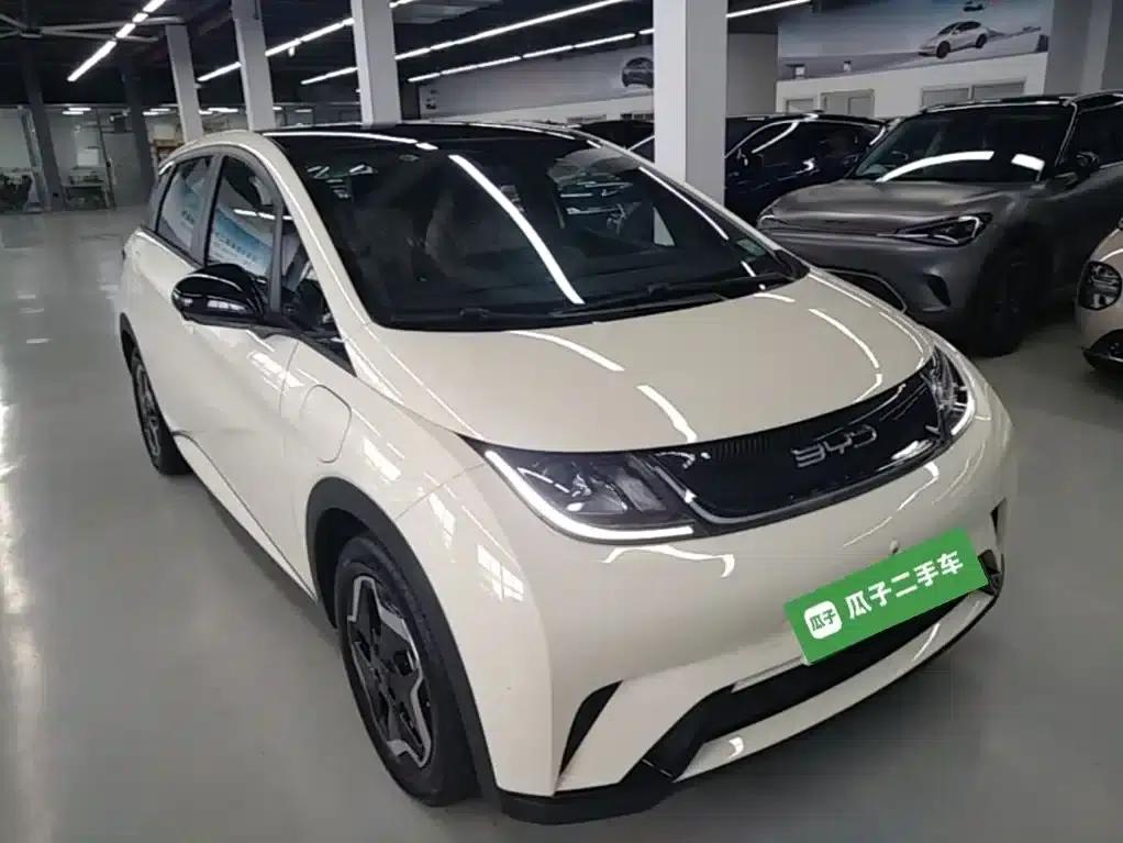 Dolphin 2021 405km Fashion Edition — миниатюра 4