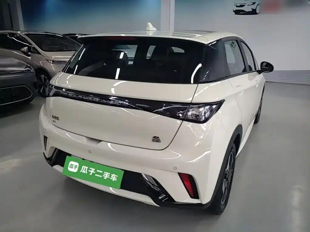 Dolphin 2021 405km Fashion Edition — миниатюра 7