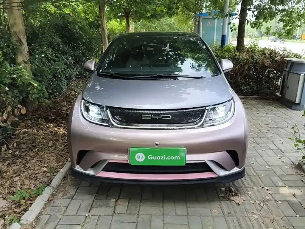 Dolphin 2021 Model 401km/h Knight Edition — миниатюра 3