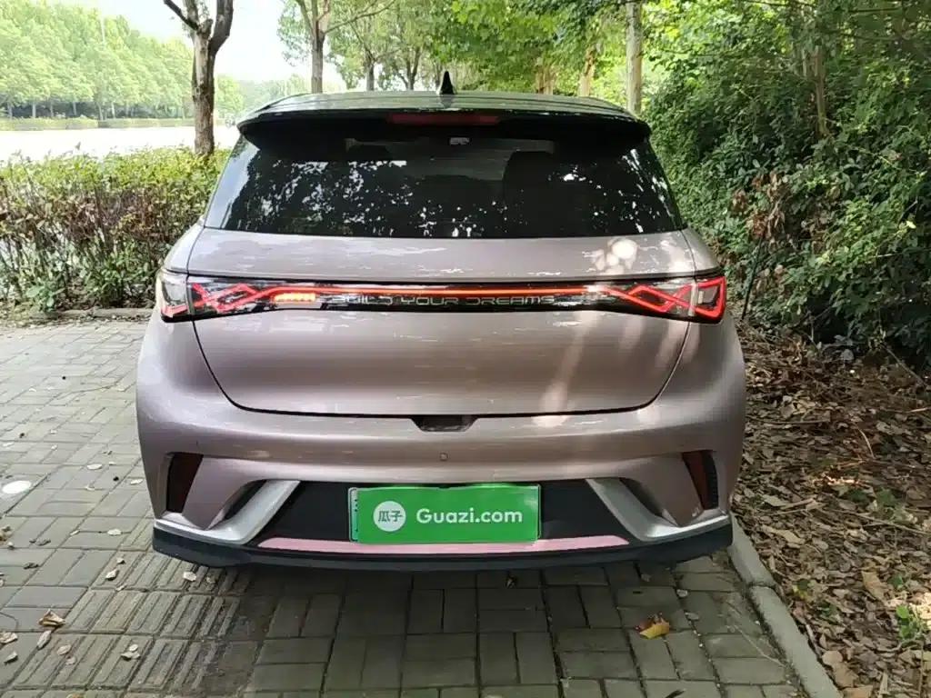 Dolphin 2021 Model 401km/h Knight Edition — миниатюра 6