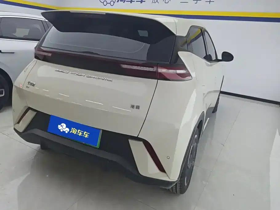 Seagull 2023 Freedom Edition — миниатюра 3