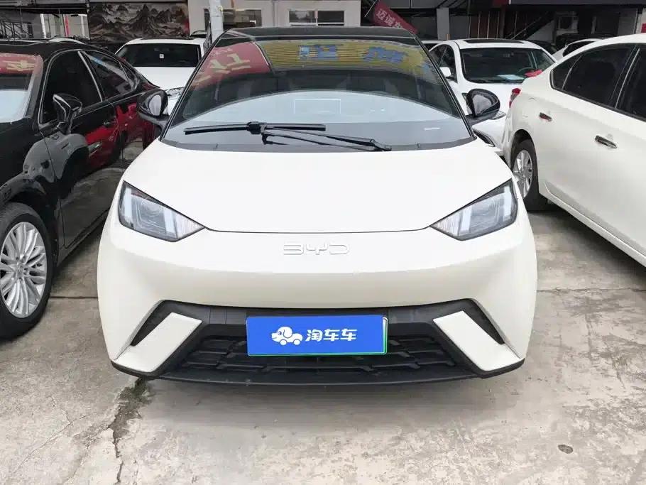 Seagull 2023 Vitality Edition — миниатюра 2