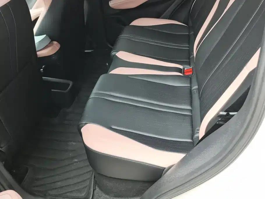 Seagull 2023 Vitality Edition — миниатюра 11
