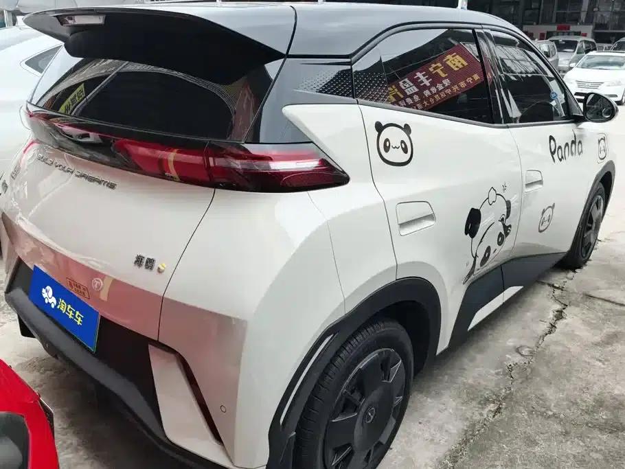 Seagull 2023 Vitality Edition — миниатюра 3