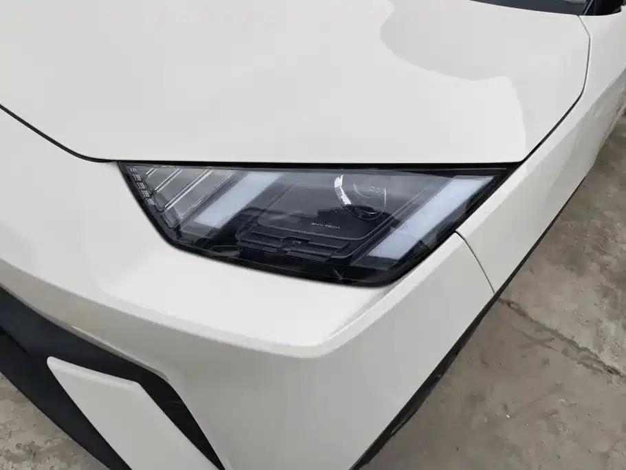 Seagull 2023 Vitality Edition — миниатюра 5