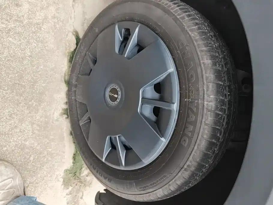 Seagull 2023 Vitality Edition — миниатюра 6