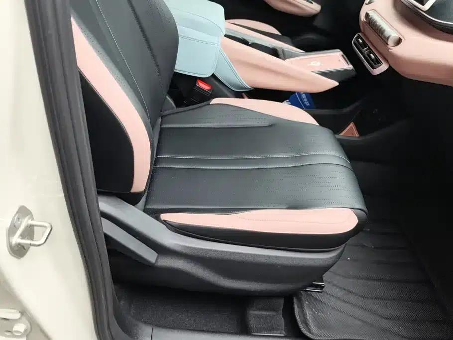 Seagull 2023 Vitality Edition — миниатюра 8