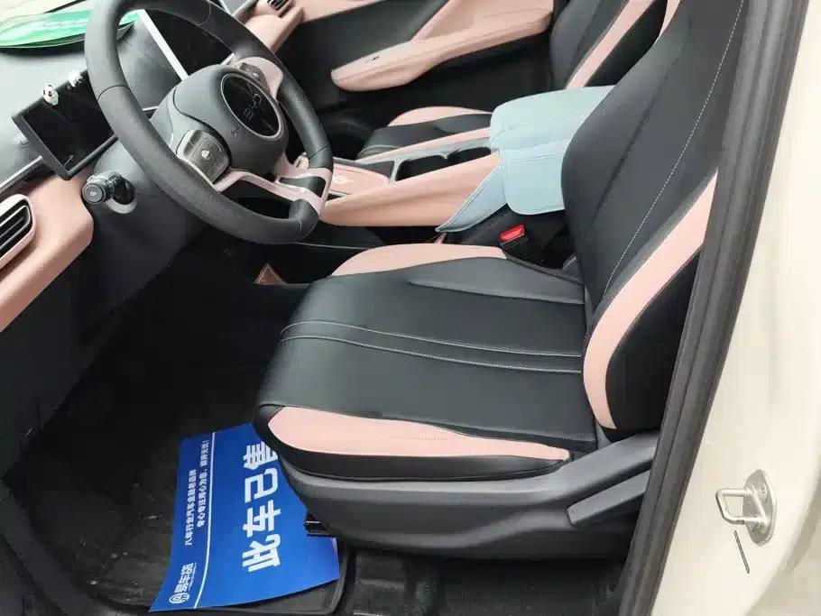Seagull 2023 Vitality Edition — миниатюра 9