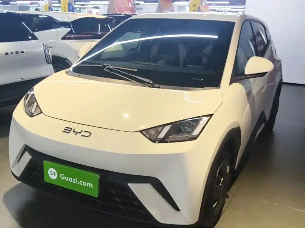 Seagull 2024 Glory Edition 305km/h Vitality Edition — миниатюра 2