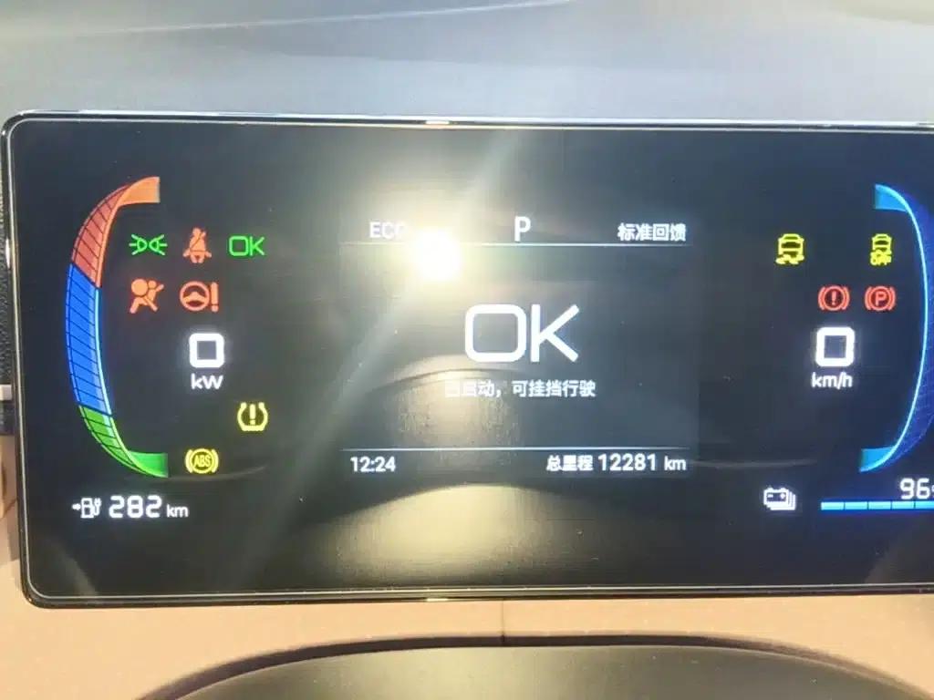 Seagull 2024 Glory Edition 305km/h Vitality Edition — миниатюра 12