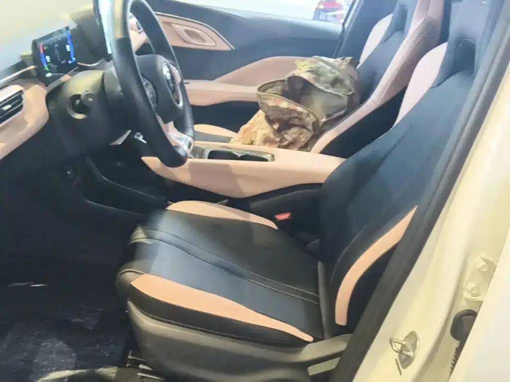 Seagull 2024 Glory Edition 305km/h Vitality Edition — миниатюра 15