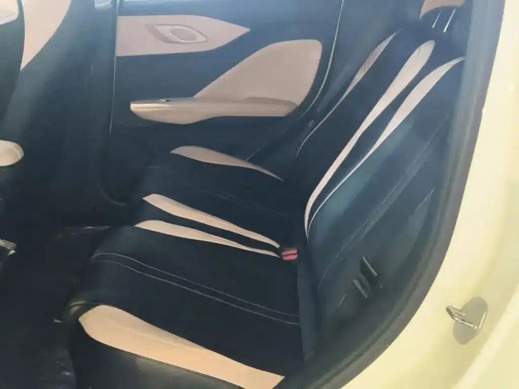 Seagull 2024 Glory Edition 305km/h Vitality Edition — миниатюра 17
