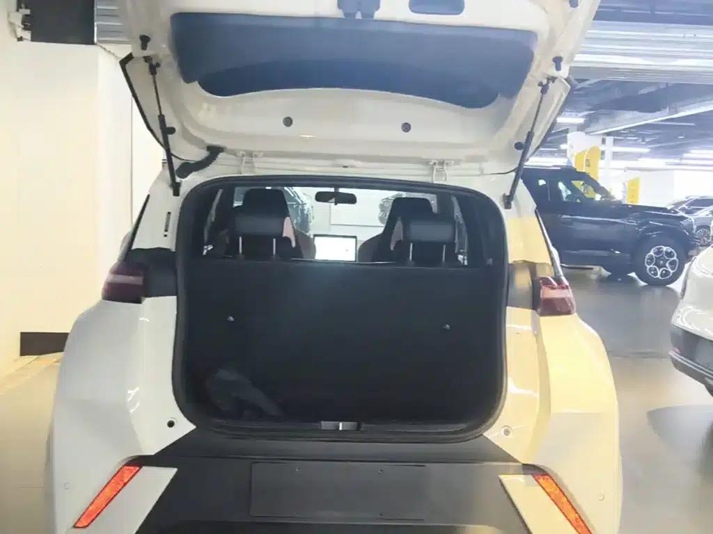 Seagull 2024 Glory Edition 305km/h Vitality Edition — миниатюра 19