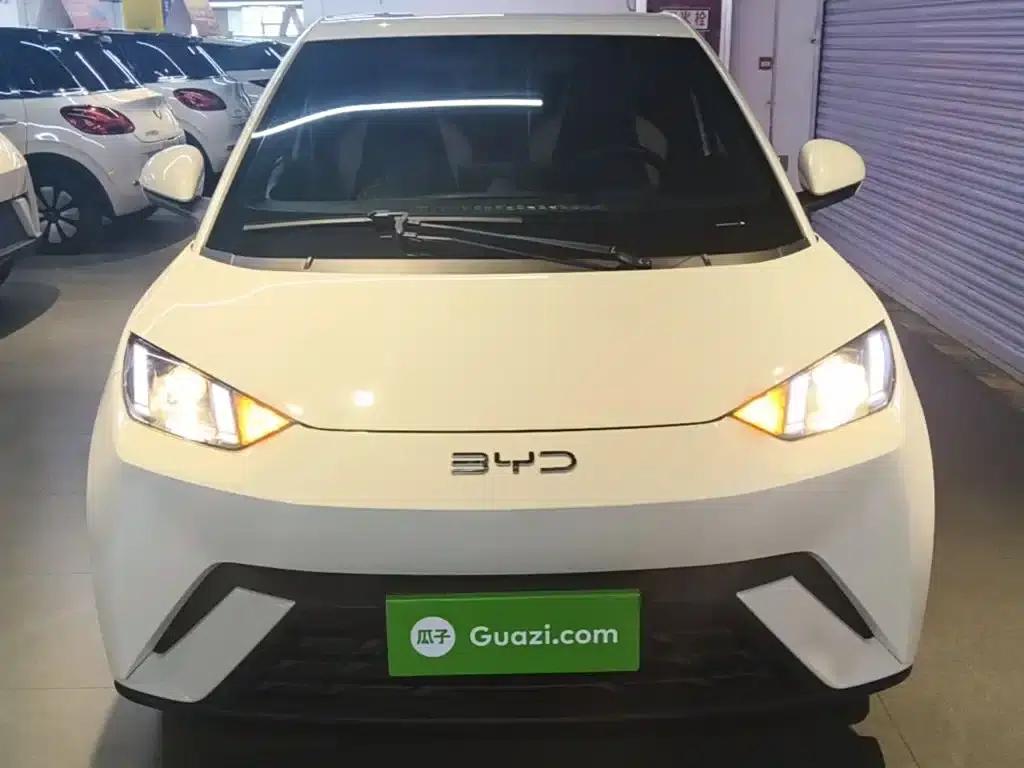 Seagull 2024 Glory Edition 305km/h Vitality Edition — миниатюра 3
