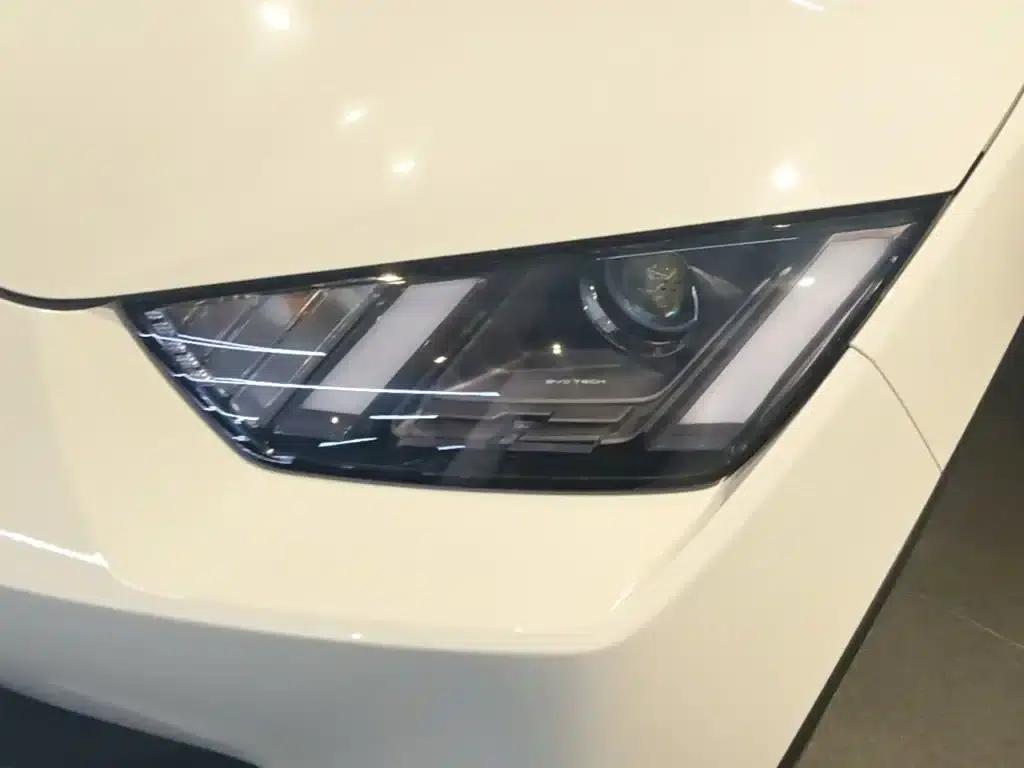 Seagull 2024 Glory Edition 305km/h Vitality Edition — миниатюра 24