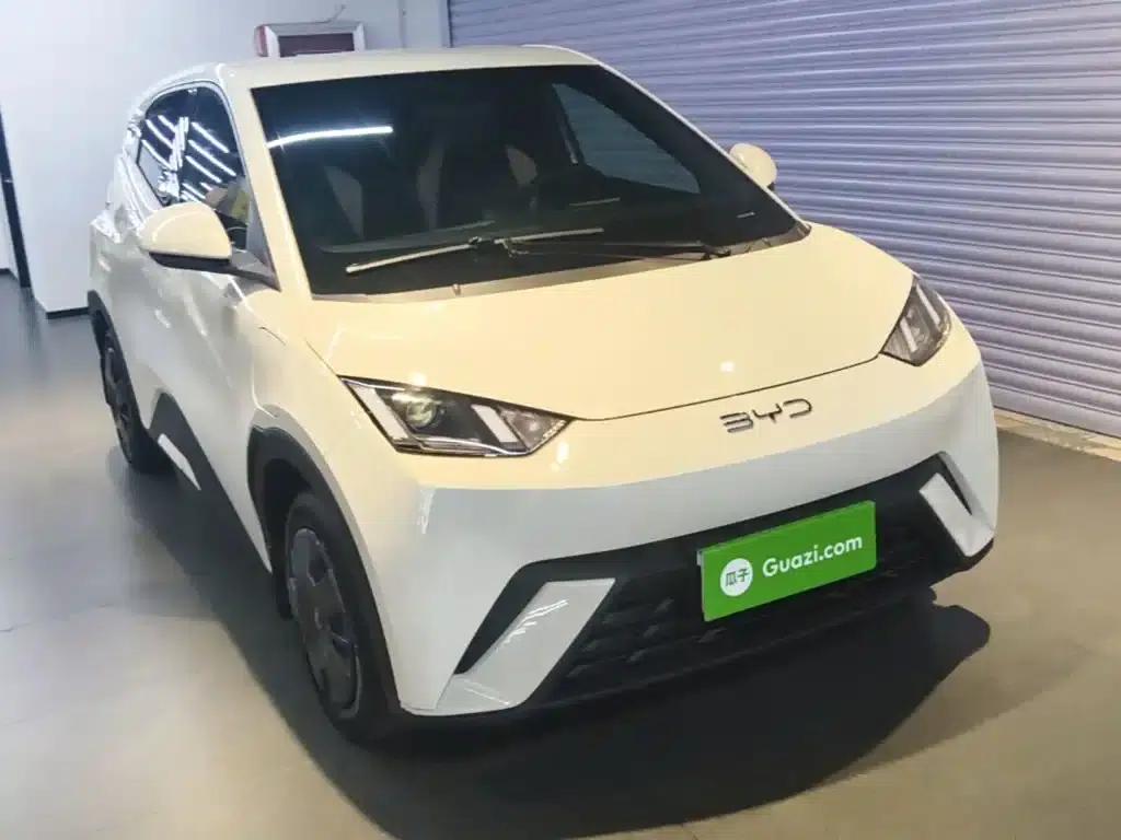 Seagull 2024 Glory Edition 305km/h Vitality Edition — миниатюра 4