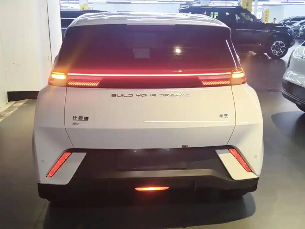Seagull 2024 Glory Edition 305km/h Vitality Edition — миниатюра 6