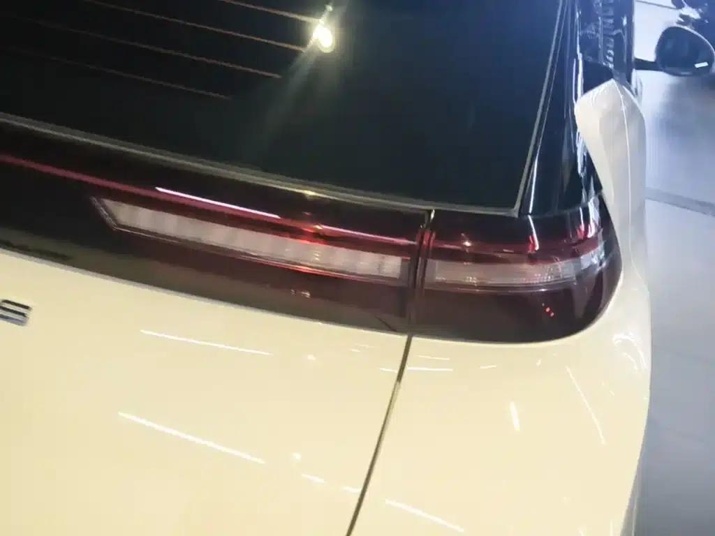 Seagull 2024 Glory Edition 305km/h Vitality Edition — миниатюра 8