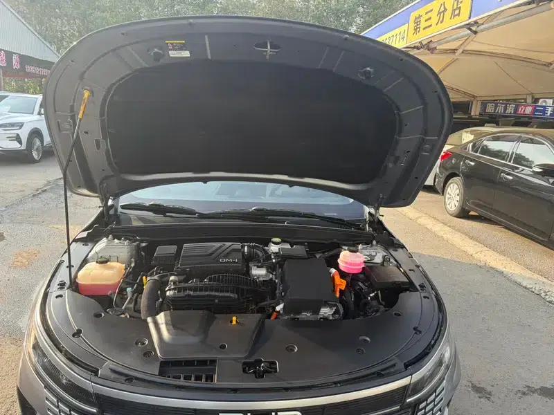 Qin PLUS DM 2023 DM-i Champion Edition 55KM Leading Model — миниатюра 7