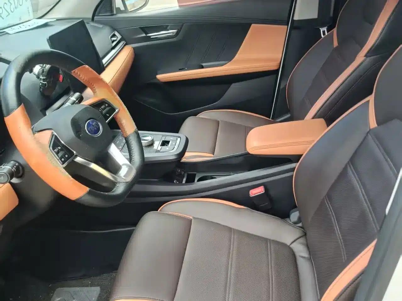 BYD e2 2021 Comfort Model — миниатюра 7