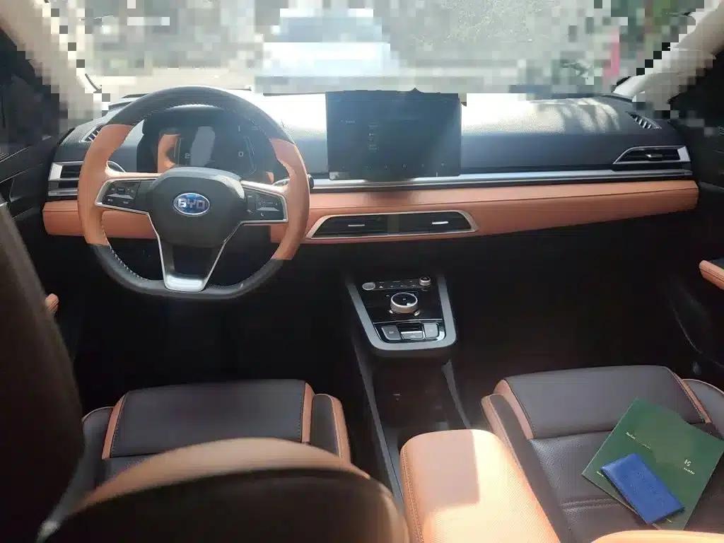 BYD e2 2021 Luxury Edition — миниатюра 5