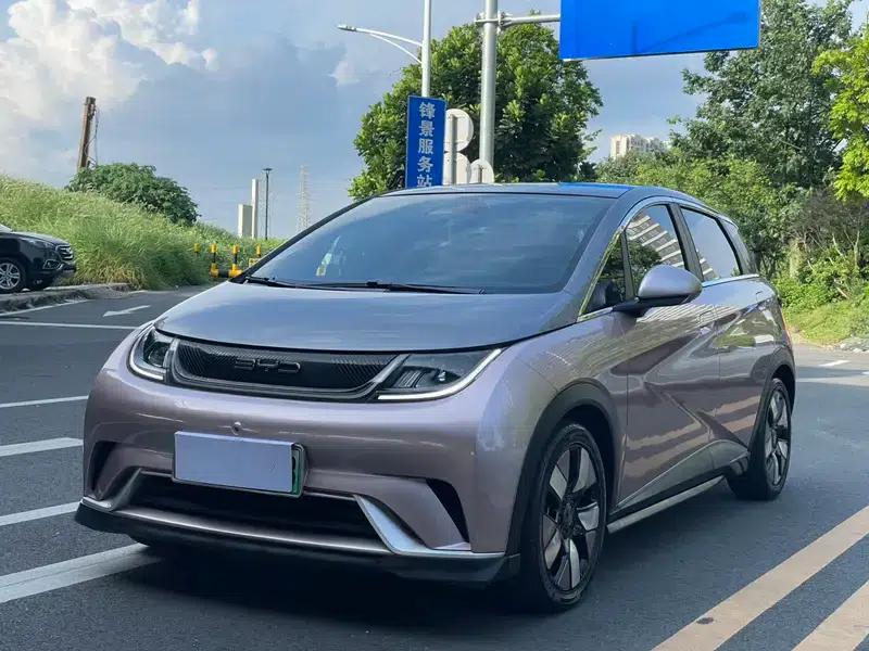 Dolphin 2021 Knight Edition — миниатюра 1