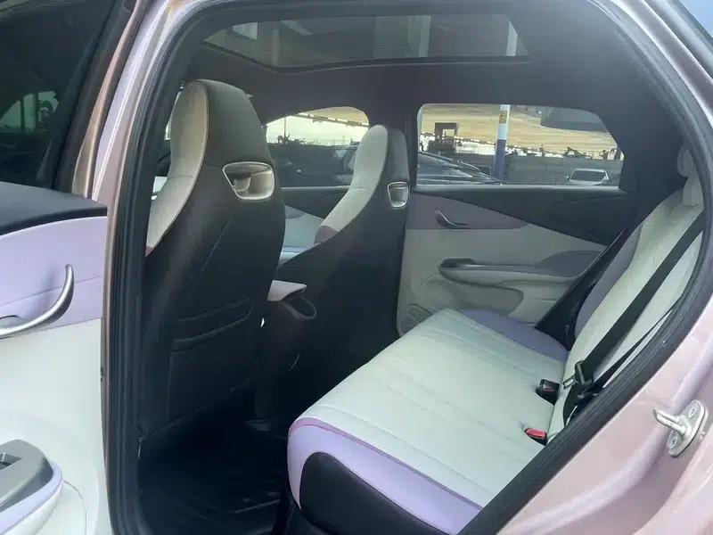 Dolphin 2021 Knight Edition — миниатюра 15