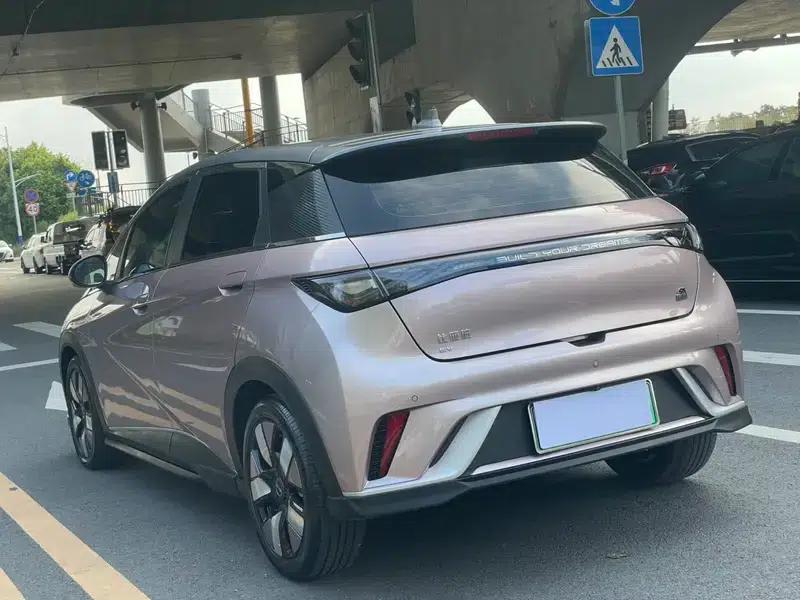 Dolphin 2021 Knight Edition — миниатюра 4