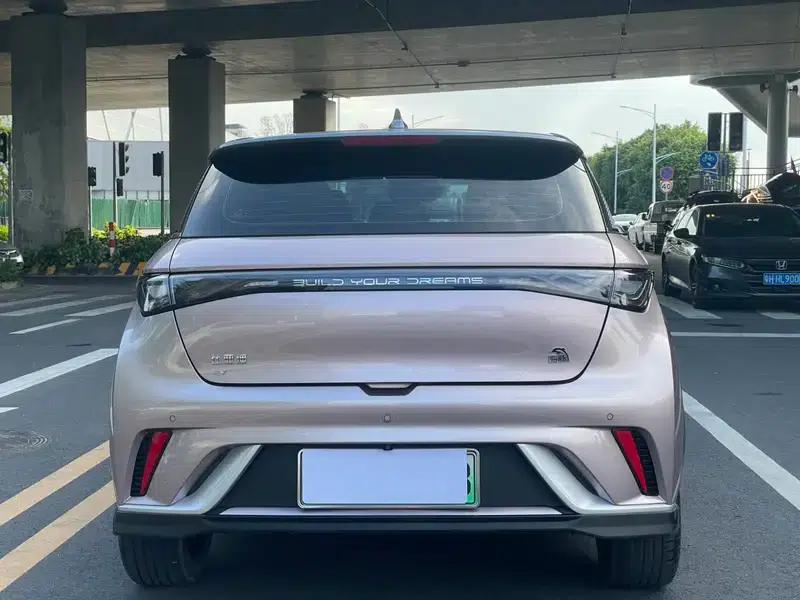 Dolphin 2021 Knight Edition — миниатюра 5